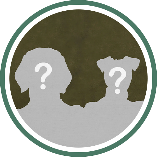 Collection Personnalisable de tableaux personnalisés pour animaux Pépouze avec un chien et chat attendant leurs costumes