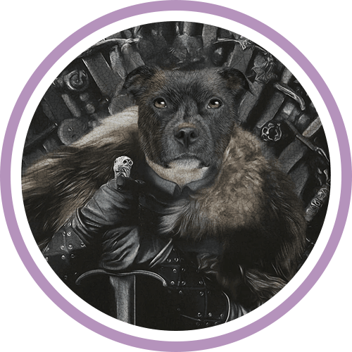 Collection Série TV de tableaux personnalisés pour animaux Pépouze avec un chien déguisé en Game of Thrones