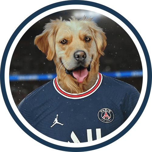 Collection Sportif de tableaux personnalisés pour animaux Pépouze avec un chien déguisé en joueur de foot