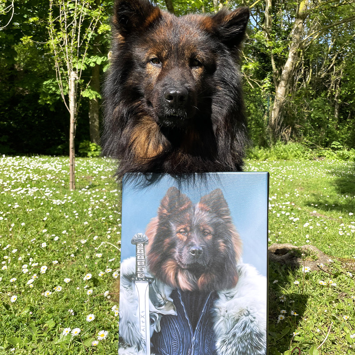Le Viking - Portrait Guerrier de votre Animal