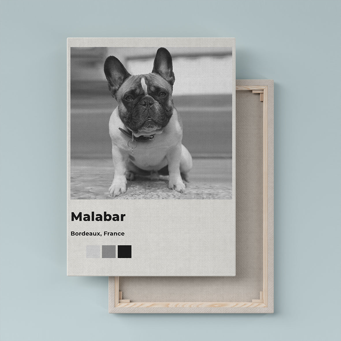 Le Polaroid - Portrait Photographique de votre Animal