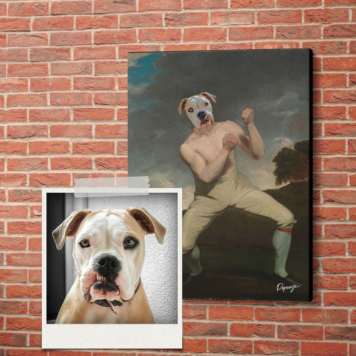 Le Boxer - Portrait Sportif de votre Animal