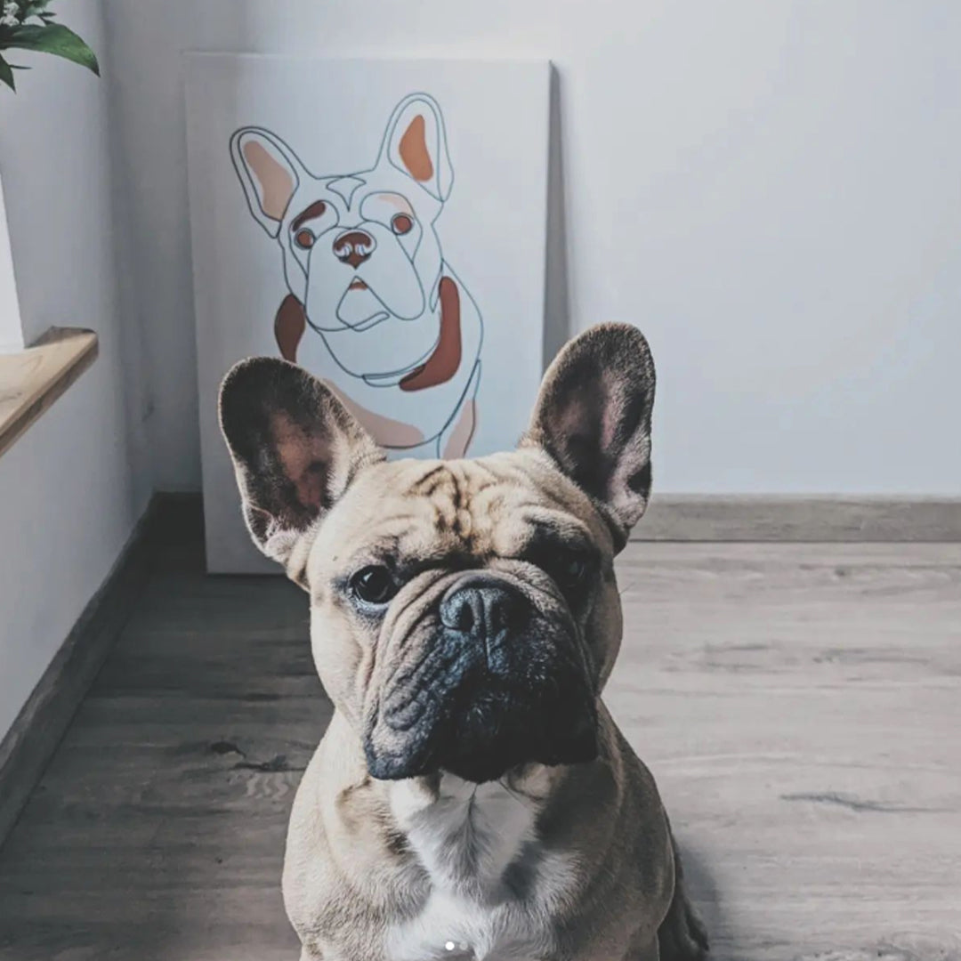 Le Picasso (crème) - Portrait Contemporain de votre Animal