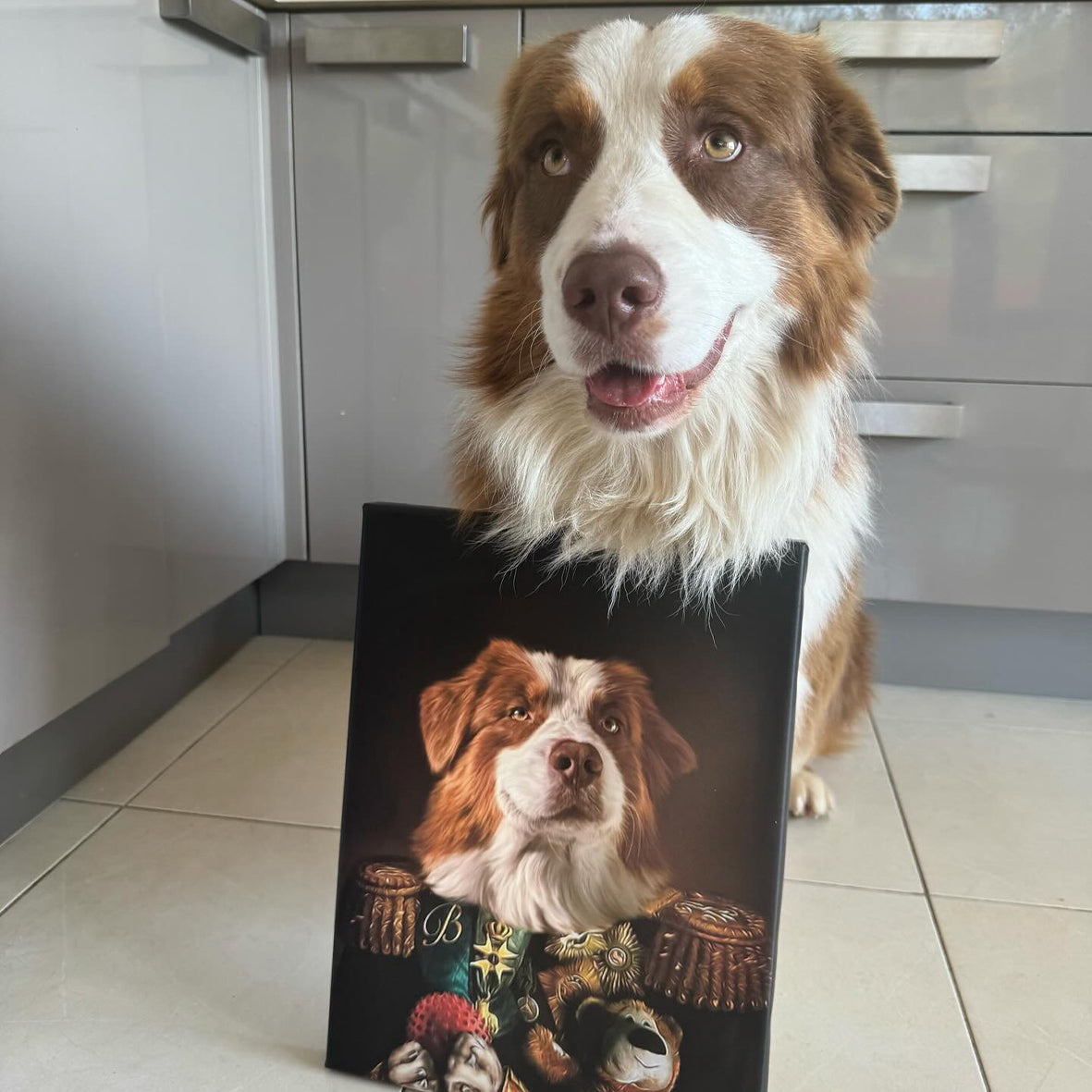 Le Royal Doudou - Portrait Mignon de votre Animal